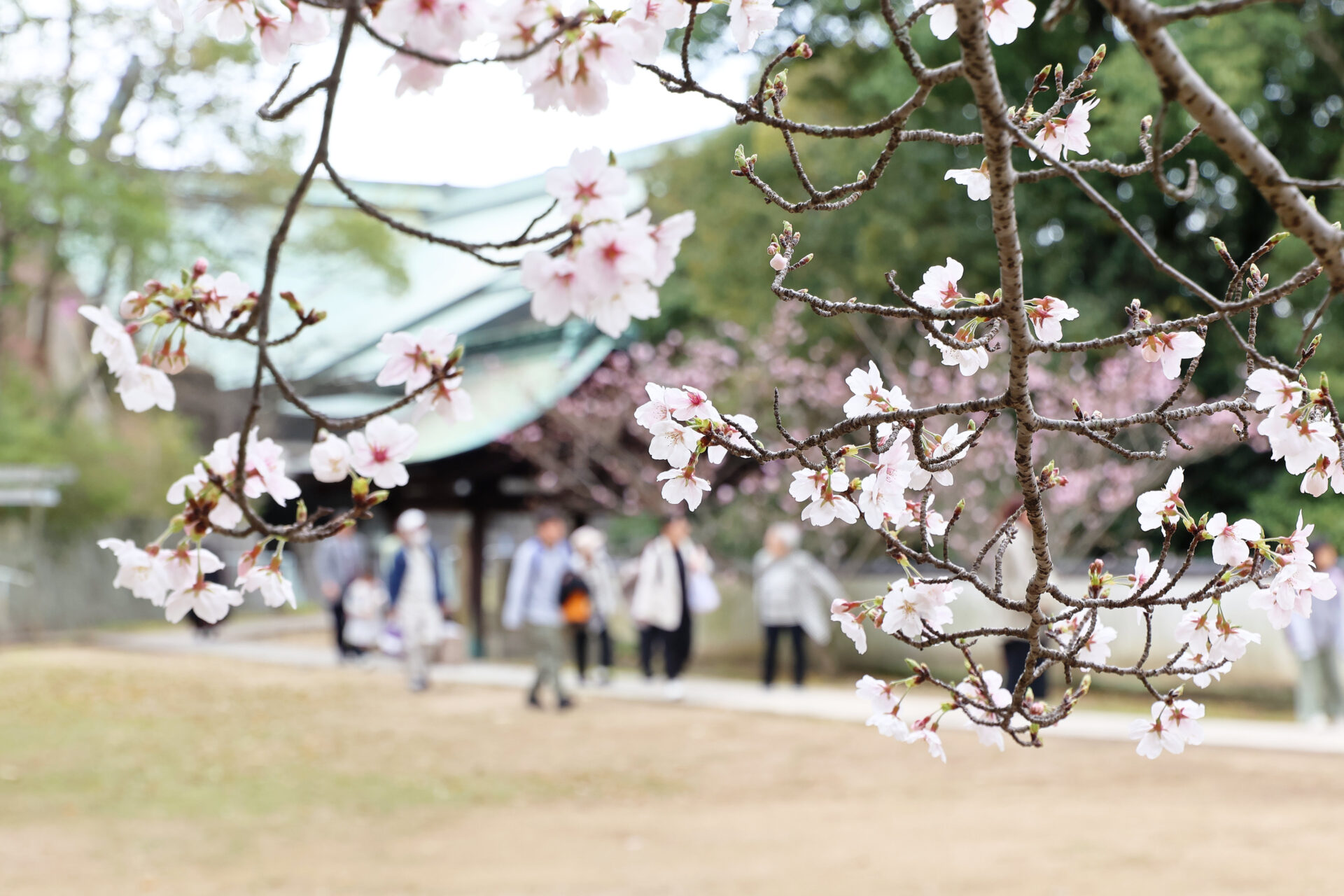 4月2日 天地金乃神大祭第二日が仕えられました | 金光教Followers